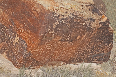 Newspaper Rock Petrified Forest Arizona