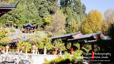 cnlj_D2506W002.jpg