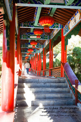 cnlj_D2510W002.jpg