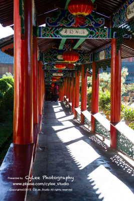 cnlj_D2513W002.jpg