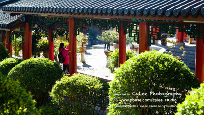 cnlj_D2514W002.jpg