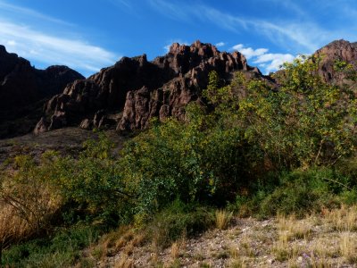 Mountains