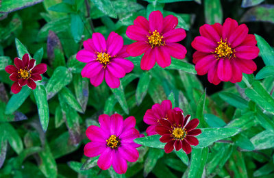 g9/37/578237/3/152745725.dyidIXb1.jpg