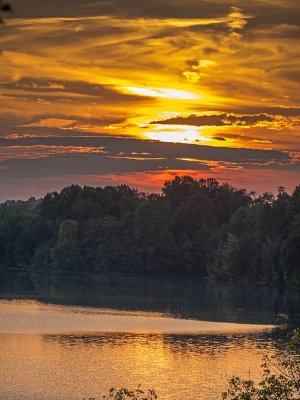 w-P1000222-2.jpg