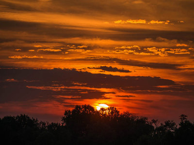w-P1000267-2.jpg
