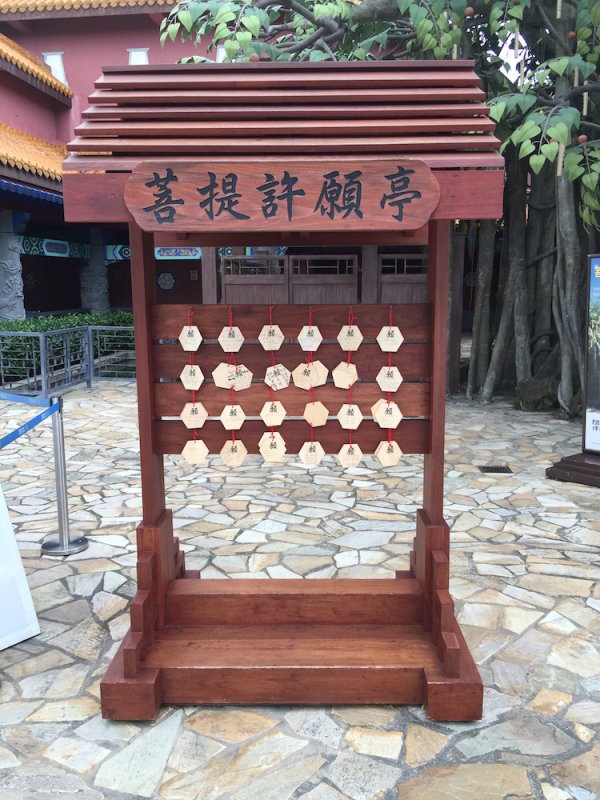 Wishing Tree 1.jpg