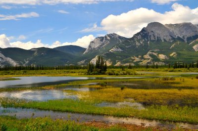 Miette marshes Jasper NP