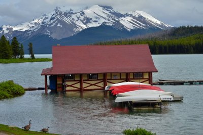 Maligne Lake, Jasper NP
