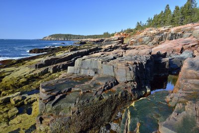   Acadia N.P.