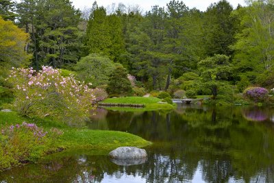 Asticou Garden  Acadia N.P