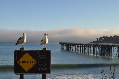 pacific_coast_highway