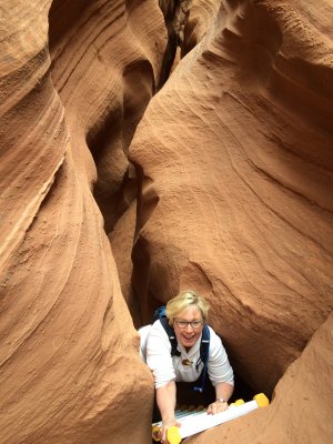 page_arizona