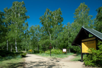 g9/37/699437/3/150553413.AkyZcwza.jpg