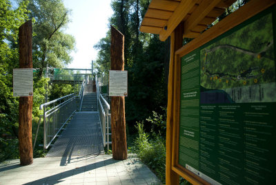 A maki lombkorona stny  -  The canopy walkway in Mak