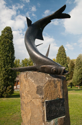 g9/37/699437/3/164386888.iAGyyosj.jpg