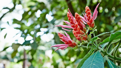 Eden Project, Cornwall