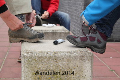 IMG_2659a.jpg