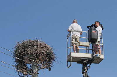 Cameraman and stork nest snemalec in gnezdo torklje_MG_8917-111.jpg