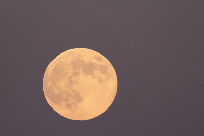 Full moon polna luna_MG_5025-111.jpg