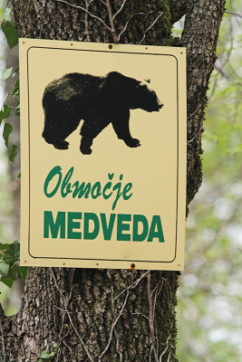 Bear region območje medveda_MG_4640-11.jpg