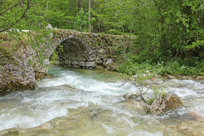 Mostnica river_MG_392711-111.jpg