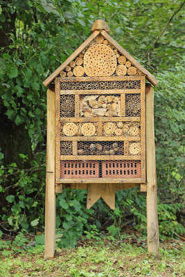 Insect hotel hotel za žuželke, žuželčnik_MG_6740-11.jpg