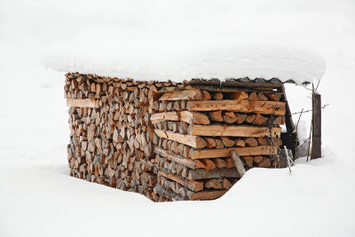 Firewood drva_MG_8604-11.jpg