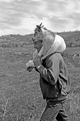 Herdsman with goat pastir s kozo_MG_85441-11.jpg