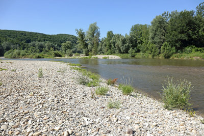 River Drava reka Drava_MG_8859-111.jpg