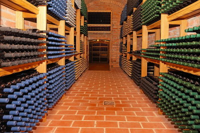 Wine cellar vinska klet_MG_8952-111.jpg