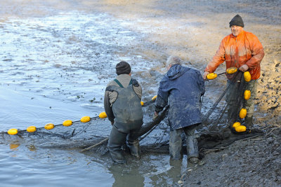 Fish harvesting izlov rib_MG_9319-111.jpg