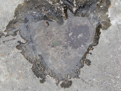 Stone heart kamnito srce_MG_8627-111.jpg