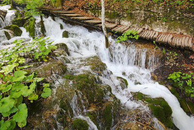 Plitvice lakes Plitvička jezera_IMG_1155-111.jpg