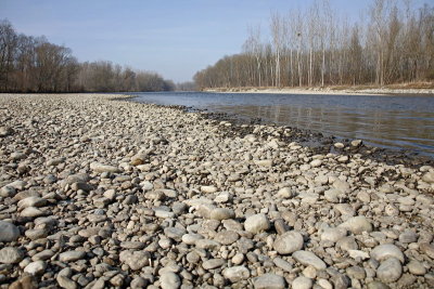 River Mura reka Mura_MG_7688-1.jpg