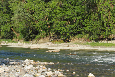 River Savinja reka Savinja_MG_9534-11.jpg