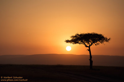 Sunset In Masai Mara