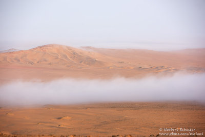 Fog In Hartmann's Valley