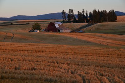 Palouse