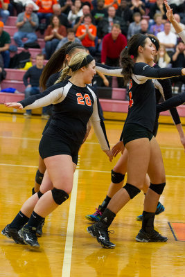 2014 Heidelberg Women's Volleyball vs Wilmington