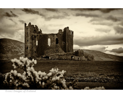 Ballycarberry Castle, Co. Wexford 0379.jpg