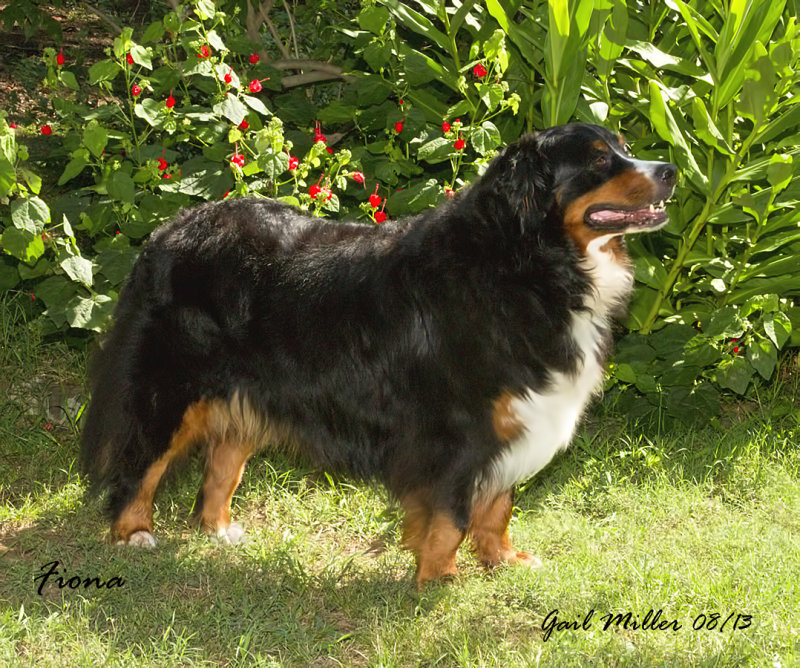 20130815_7344.jpg