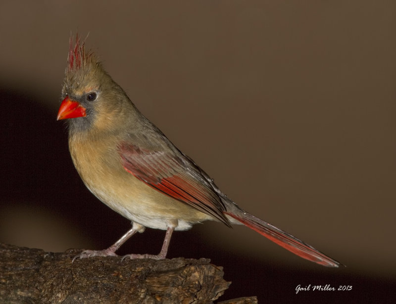 20131205_5844.jpg