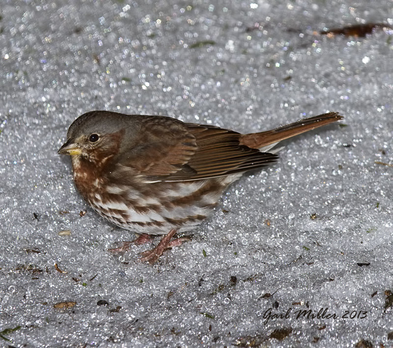 20131206_5886.jpg