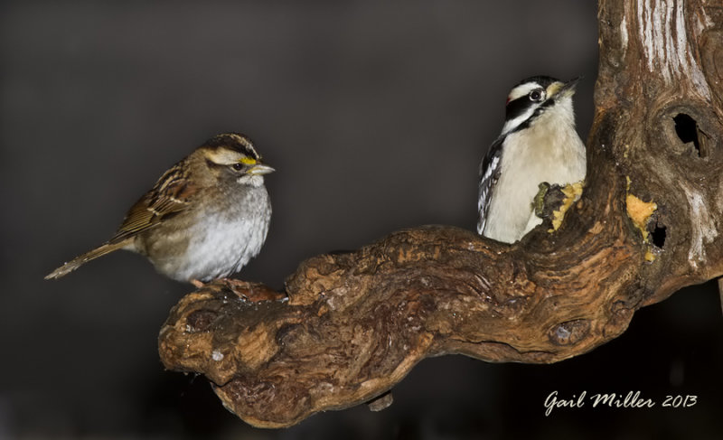 20131206_5996.jpg