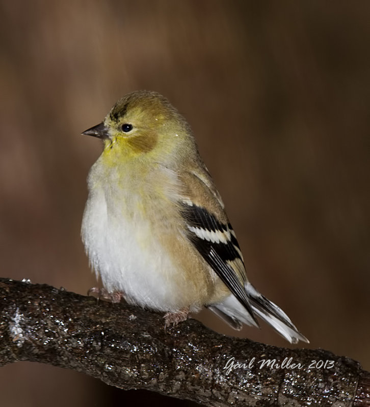 20131206_6069.jpg