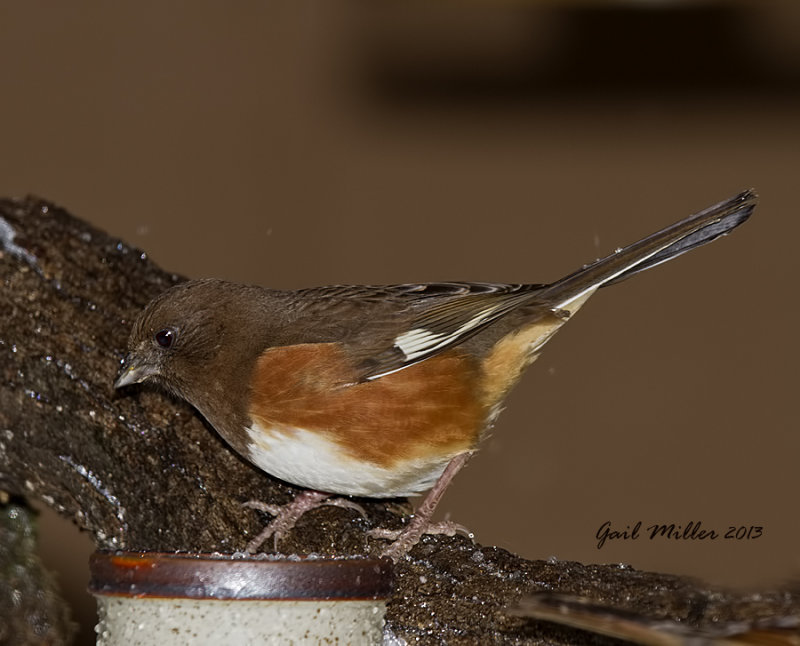 20131206_6149.jpg