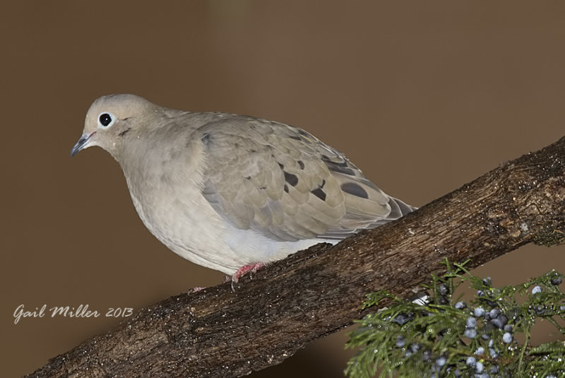 20131206_6179.jpg
