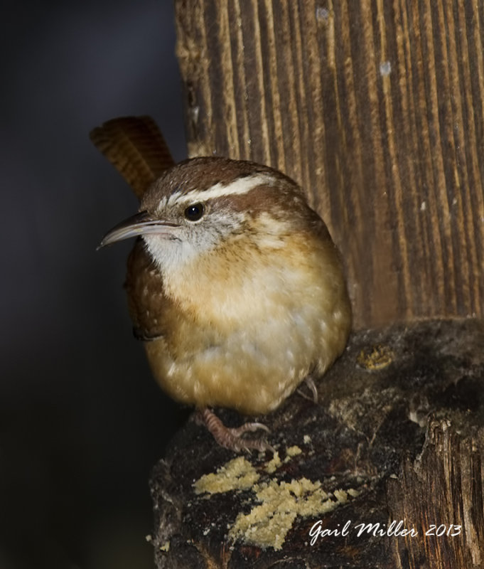 20131206_6340.jpg
