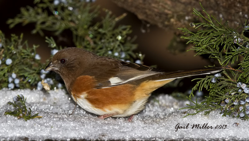 20131206_6360.jpg