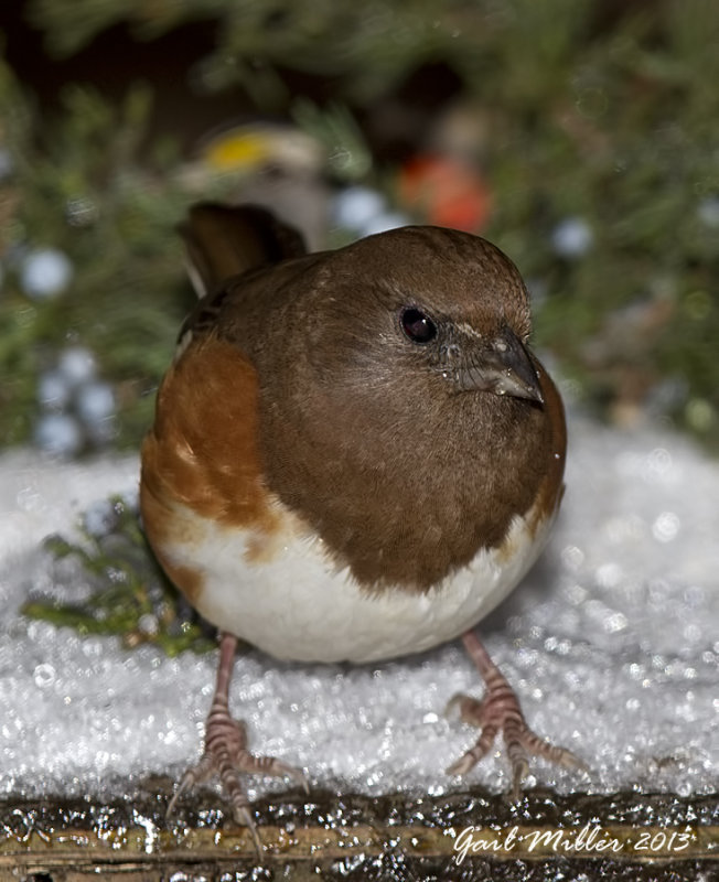 20131206_6363.jpg